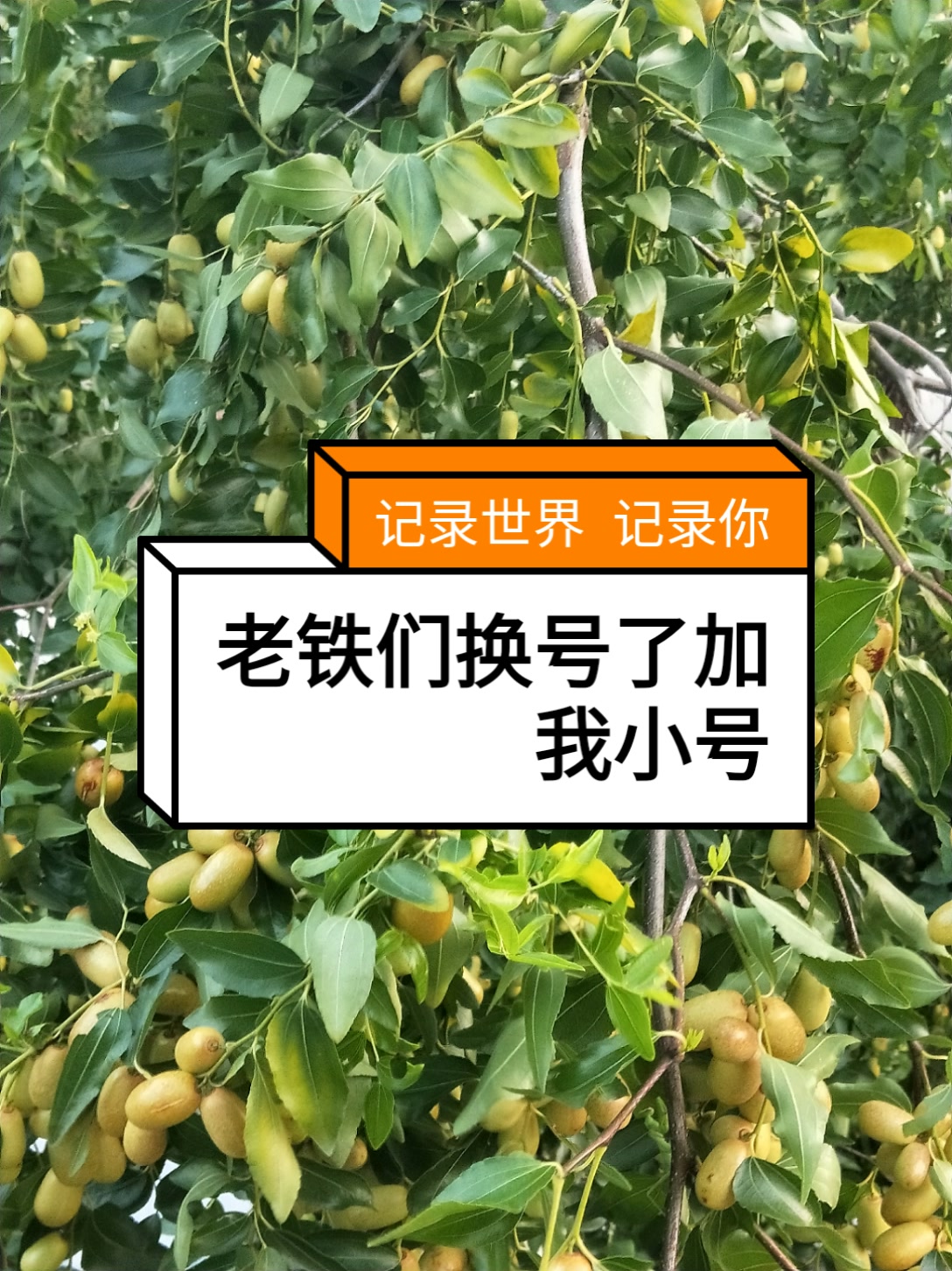 如何加入快手批发小号?