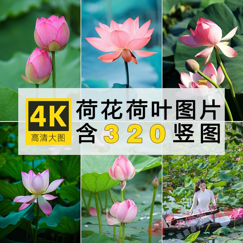 壁纸账号买卖平台最新消息
